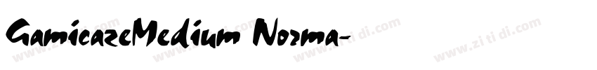 GamicazeMedium Norma字体转换